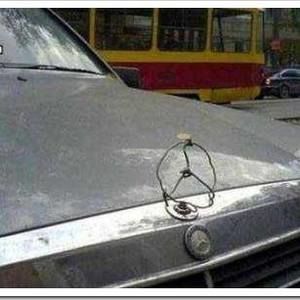 Meet your Posher, Peter